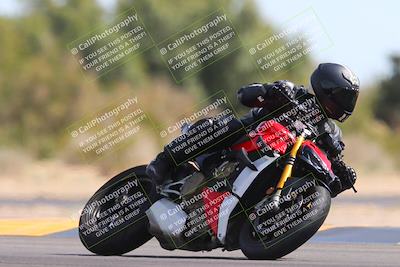 media/Mar-10-2024-SoCal Trackdays (Sun) [[6228d7c590]]/11-Turn 7 (130pm)/